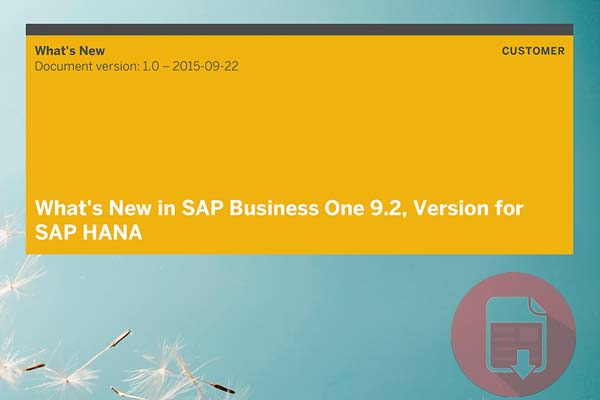 SAP Business One 9.2 HANA