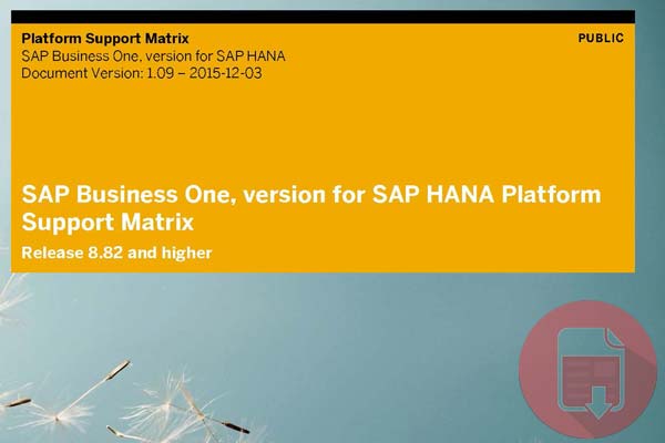 SAP B1 , version for SAP HANA Platform Support Matrix