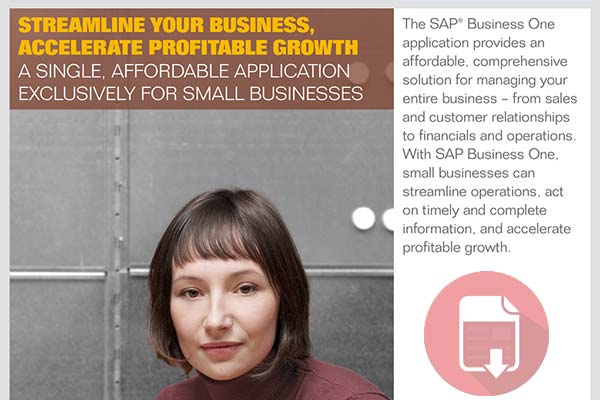 SAP Business One Detail